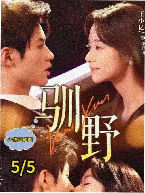 1936 年柏林头名奖牌样本卡的图版示意